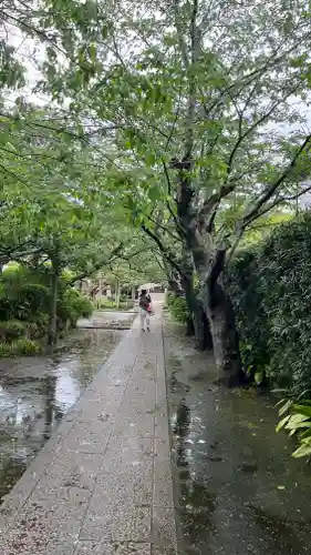 極楽寺（霊鷲山感應院極楽律寺）の景色