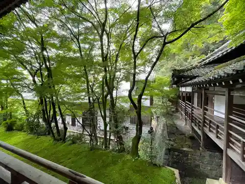 禅林寺（永観堂）(京都府)