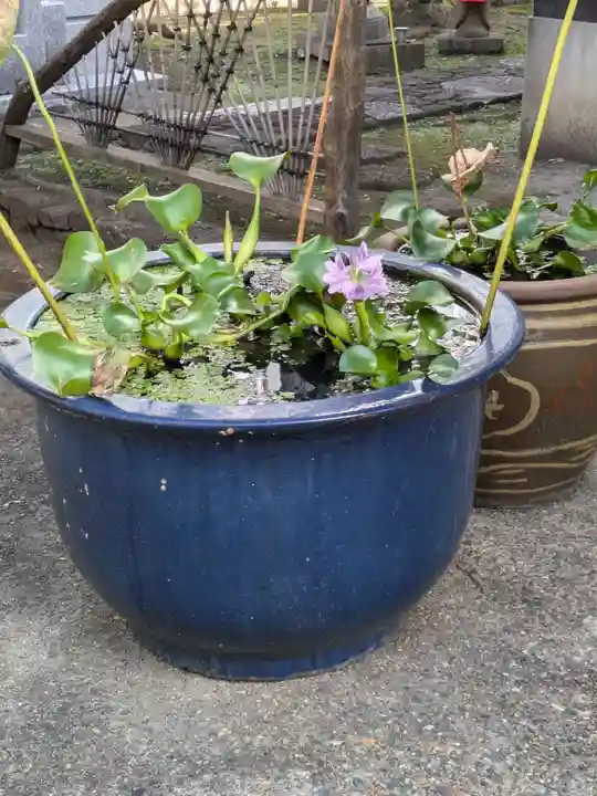 光明寺(東京都)