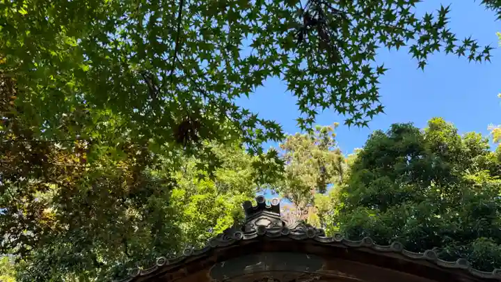 孫太郎稲荷神社(薬師寺境内社)(奈良県)