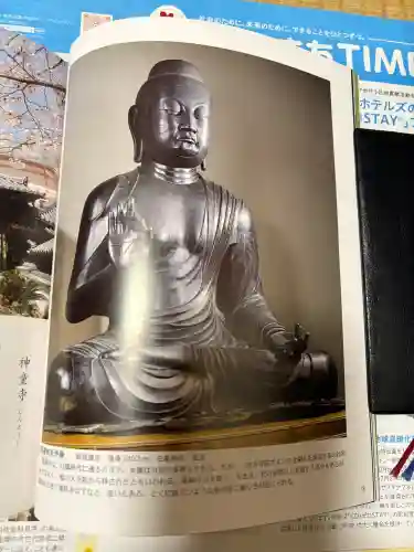 蟹満寺の{uncategorized: "未分類", other: "その他", undefined: "問題あり", building: "その他建物", grave: "お墓", sacred_gate: "鳥居", guardian: "狛犬", statue: "像", buddha: "仏像", history: "歴史", nature: "自然", garden: "庭園", animal: "動物", pagoda: "塔", temizu: "手水舎", mountain_gate: "山門・神門", sanctuary: "本殿・本堂", subordinate: "末社・摂社", art: "芸術", scenery: "景色", jizo: "地蔵", ema: "絵馬", goshuin: "御朱印", omikuji: "おみくじ", items: "授与品その他", amulet: "お守り", goshuincho: "御朱印帳", eats: "食事", festival: "お祭り", votive_dance: "神楽", shichigosan: "七五三参", wedding: "結婚式", experience: "体験その他", initially: "初詣", around: "周辺", anti_infection: "感染症対策"}