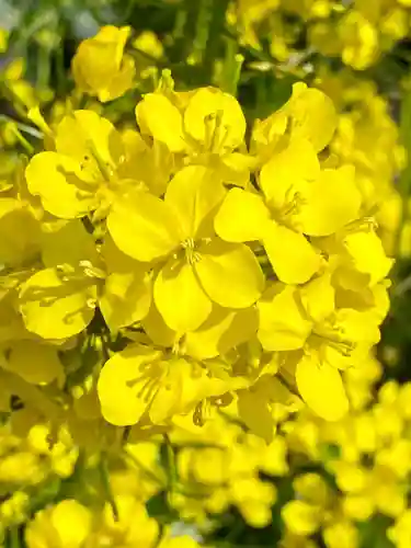 玉田神社の自然