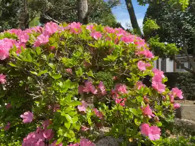 美奈宜神社(福岡県)