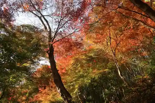 神應寺(京都府)