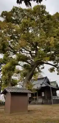 高須香取神社のその他建物