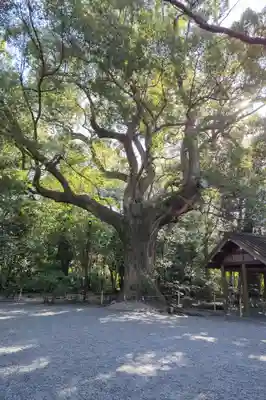 月夜見宮（豊受大神宮別宮）(三重県)