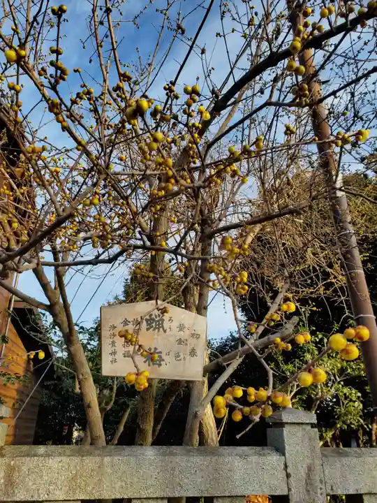 沙沙貴神社の自然
