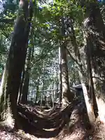 白光神社 奥宮の自然