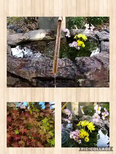 阿智神社の手水