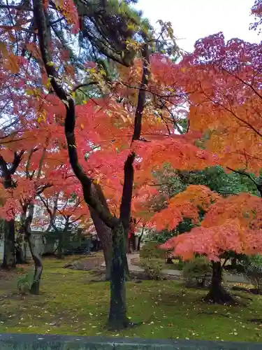 正樂寺(宮城県)
