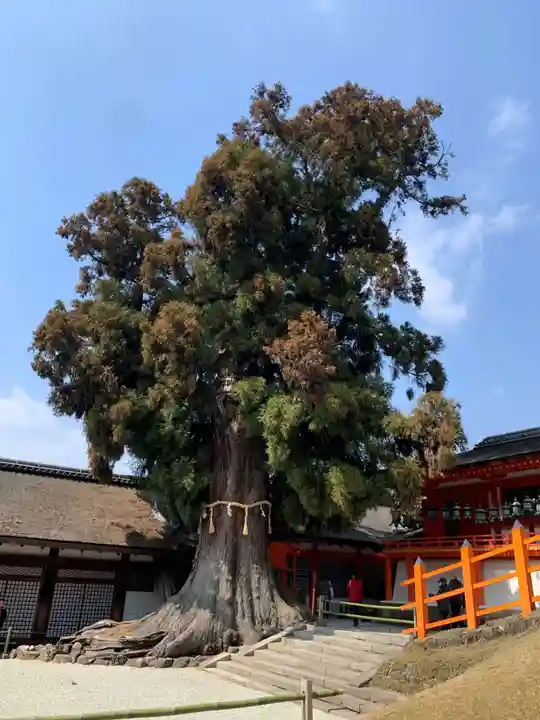春日大社(奈良県)