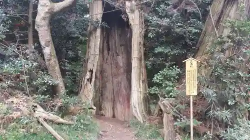 香取神宮の自然