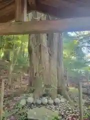 高山神社(滋賀県)