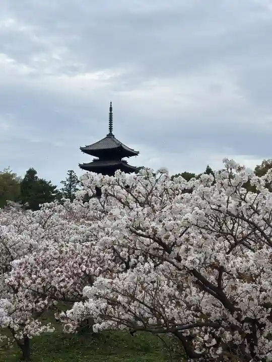 仁和寺の{uncategorized: "未分類", other: "その他", undefined: "問題あり", building: "その他建物", grave: "お墓", sacred_gate: "鳥居", guardian: "狛犬", statue: "像", buddha: "仏像", history: "歴史", nature: "自然", garden: "庭園", animal: "動物", pagoda: "塔", temizu: "手水舎", mountain_gate: "山門・神門", sanctuary: "本殿・本堂", subordinate: "末社・摂社", art: "芸術", scenery: "景色", jizo: "地蔵", ema: "絵馬", goshuin: "御朱印", omikuji: "おみくじ", items: "授与品その他", amulet: "お守り", goshuincho: "御朱印帳", eats: "食事", festival: "お祭り", votive_dance: "神楽", shichigosan: "七五三参", wedding: "結婚式", experience: "体験その他", initially: "初詣", around: "周辺", anti_infection: "感染症対策"}