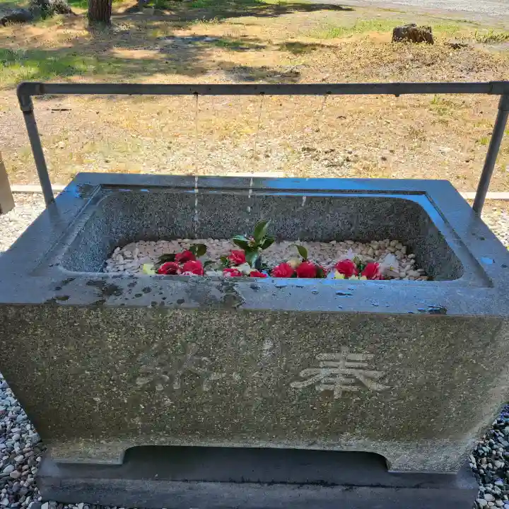 小平潟天満宮の{uncategorized: "未分類", other: "その他", undefined: "問題あり", building: "その他建物", grave: "お墓", sacred_gate: "鳥居", guardian: "狛犬", statue: "像", buddha: "仏像", history: "歴史", nature: "自然", garden: "庭園", animal: "動物", pagoda: "塔", temizu: "手水舎", mountain_gate: "山門・神門", sanctuary: "本殿・本堂", subordinate: "末社・摂社", art: "芸術", scenery: "景色", jizo: "地蔵", ema: "絵馬", goshuin: "御朱印", omikuji: "おみくじ", items: "授与品その他", amulet: "お守り", goshuincho: "御朱印帳", eats: "食事", festival: "お祭り", votive_dance: "神楽", shichigosan: "七五三参", wedding: "結婚式", experience: "体験その他", initially: "初詣", around: "周辺", anti_infection: "感染症対策"}