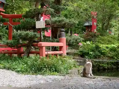 間々田八幡宮の{uncategorized: "未分類", other: "その他", undefined: "問題あり", building: "その他建物", grave: "お墓", sacred_gate: "鳥居", guardian: "狛犬", statue: "像", buddha: "仏像", history: "歴史", nature: "自然", garden: "庭園", animal: "動物", pagoda: "塔", temizu: "手水舎", mountain_gate: "山門・神門", sanctuary: "本殿・本堂", subordinate: "末社・摂社", art: "芸術", scenery: "景色", jizo: "地蔵", ema: "絵馬", goshuin: "御朱印", omikuji: "おみくじ", items: "授与品その他", amulet: "お守り", goshuincho: "御朱印帳", eats: "食事", festival: "お祭り", votive_dance: "神楽", shichigosan: "七五三参", wedding: "結婚式", experience: "体験その他", initially: "初詣", around: "周辺", anti_infection: "感染症対策"}