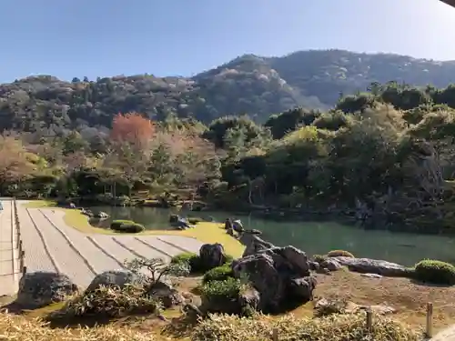 天龍寺の庭園