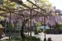 天台宗 五大山 白毫寺(兵庫県)