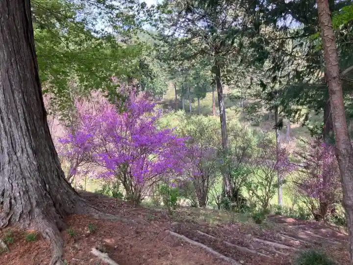 塩船観音寺の{uncategorized: "未分類", other: "その他", undefined: "問題あり", building: "その他建物", grave: "お墓", sacred_gate: "鳥居", guardian: "狛犬", statue: "像", buddha: "仏像", history: "歴史", nature: "自然", garden: "庭園", animal: "動物", pagoda: "塔", temizu: "手水舎", mountain_gate: "山門・神門", sanctuary: "本殿・本堂", subordinate: "末社・摂社", art: "芸術", scenery: "景色", jizo: "地蔵", ema: "絵馬", goshuin: "御朱印", omikuji: "おみくじ", items: "授与品その他", amulet: "お守り", goshuincho: "御朱印帳", eats: "食事", festival: "お祭り", votive_dance: "神楽", shichigosan: "七五三参", wedding: "結婚式", experience: "体験その他", initially: "初詣", around: "周辺", anti_infection: "感染症対策"}