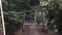 渋谷氷川神社の鳥居