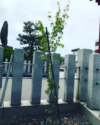 總社 和田八幡宮(福井県)