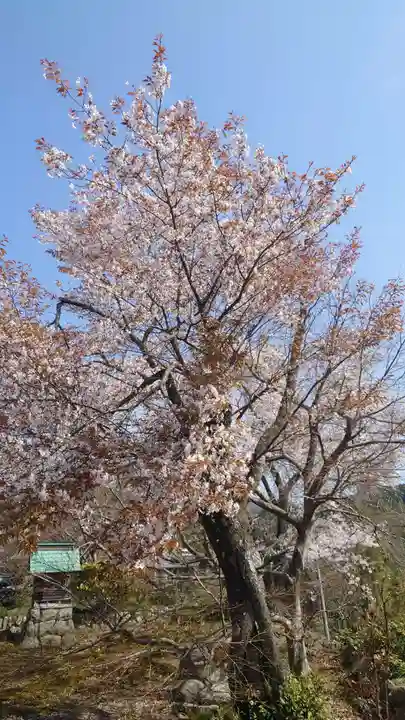 禅幢寺(岐阜県)