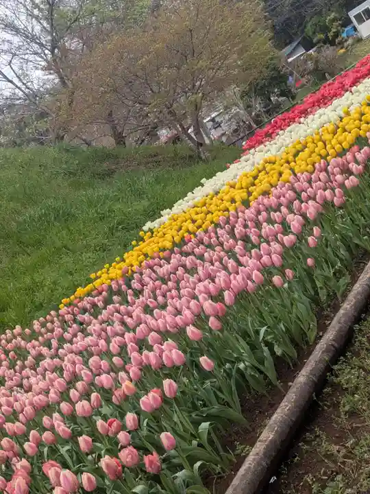 泉蔵寺(神奈川県)