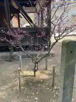 備後天満神社(兵庫県)