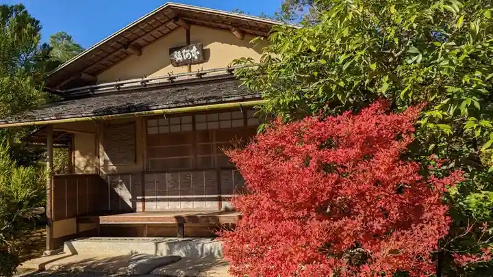 光悦寺(京都府)