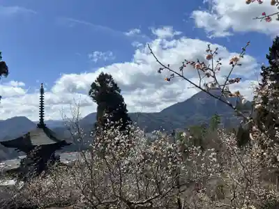 国宝 大法寺(長野県)