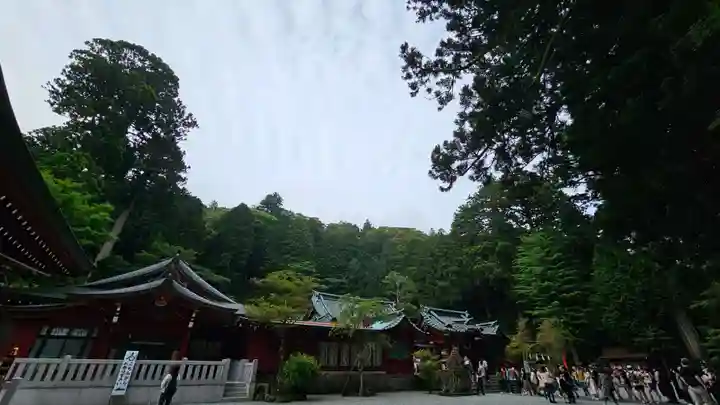 箱根神社(神奈川県)