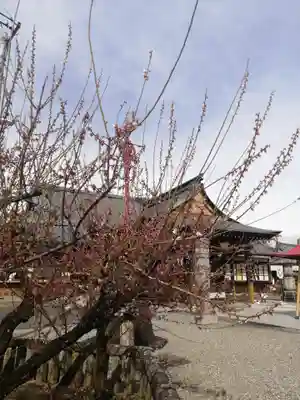 乙津寺　（鏡島弘法）の自然