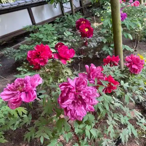 上野東照宮(東京都)