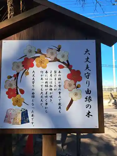 大宮・大原神社(千葉県)