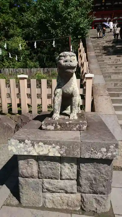 鶴岡八幡宮の狛犬