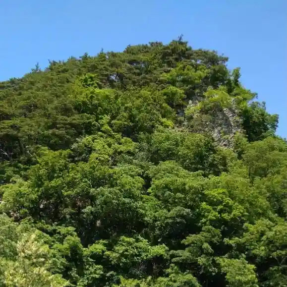 龍興山神社の自然