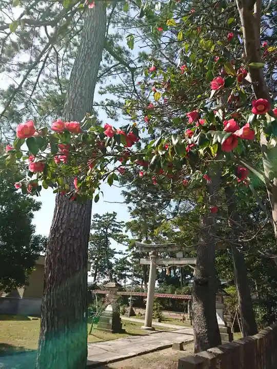 小松天満宮の自然