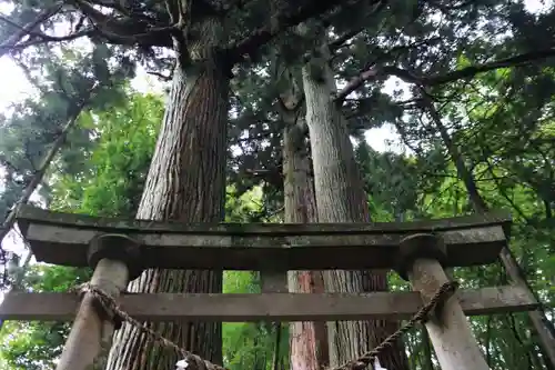 住吉玉津島神社の鳥居