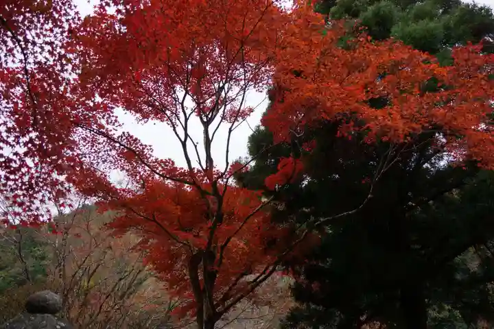 白龍神社(京都府)