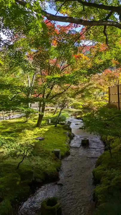 禅林寺(永観堂)(京都府)
