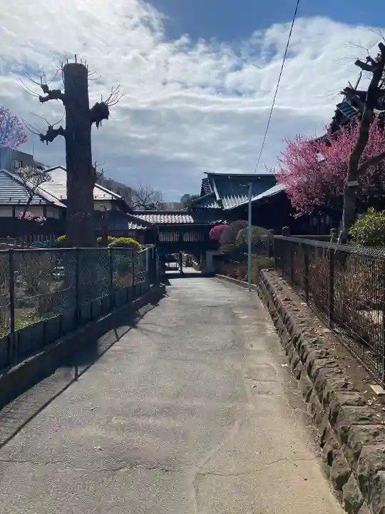白山神社(東京都)