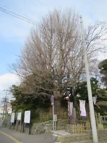 湯倉神社の自然