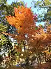 多久神社の自然