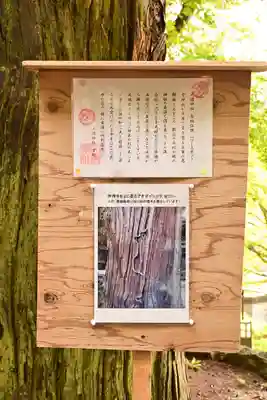 大滝神社(山梨県)