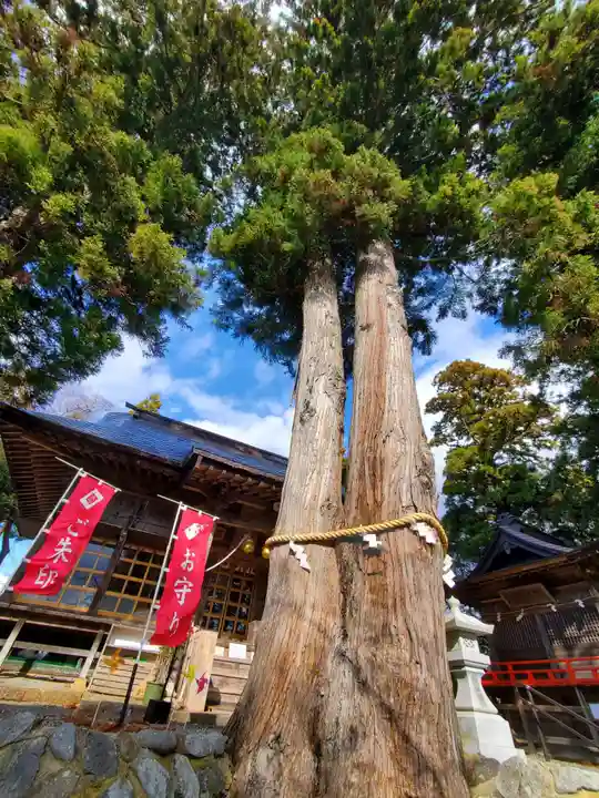 高司神社〜むすびの神の鎮まる社〜の自然