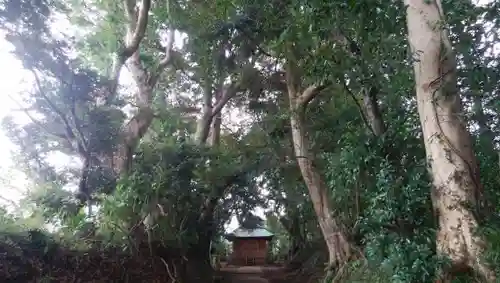 椿神社の建物その他