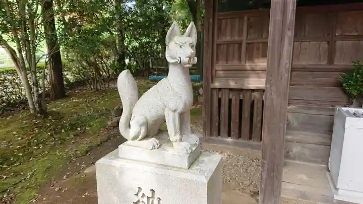南大沢八幡神社の狛犬