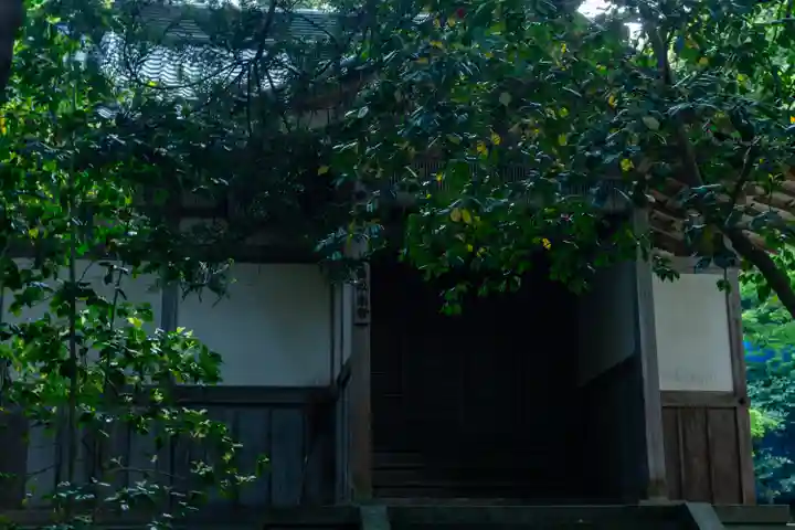 彌彦神社(新潟県)