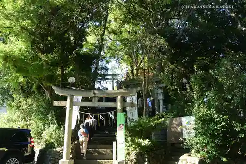 多摩川浅間神社の鳥居