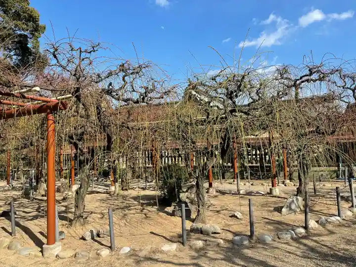 結城神社(三重県)